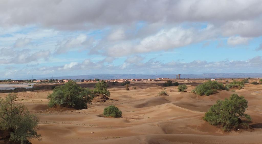 Auberge Tigida M'Hamid Buitenkant foto